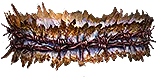 Binds of Bloody Vengeance